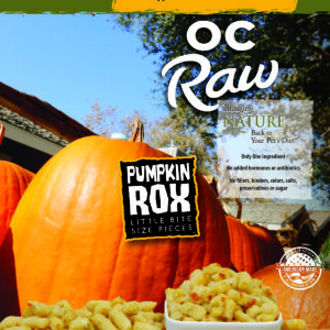 Pumpkin Rox ~ 2 lb. Rox